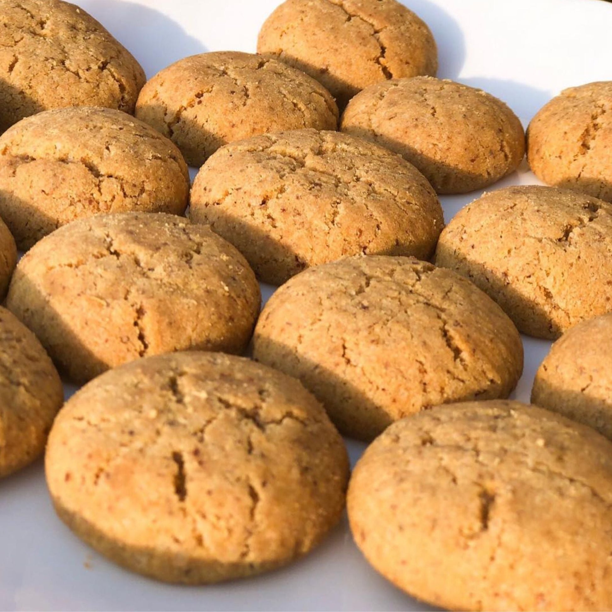 Gingersnap Cookies - SproutOG